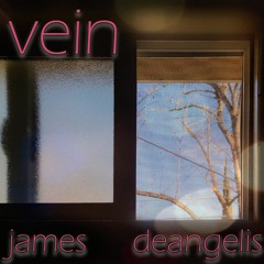 vein