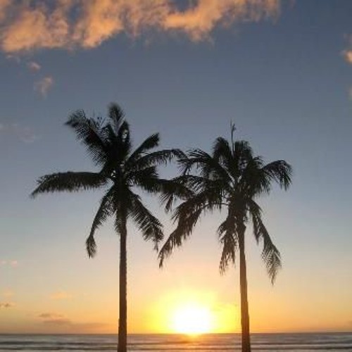 Driving To Hawaii