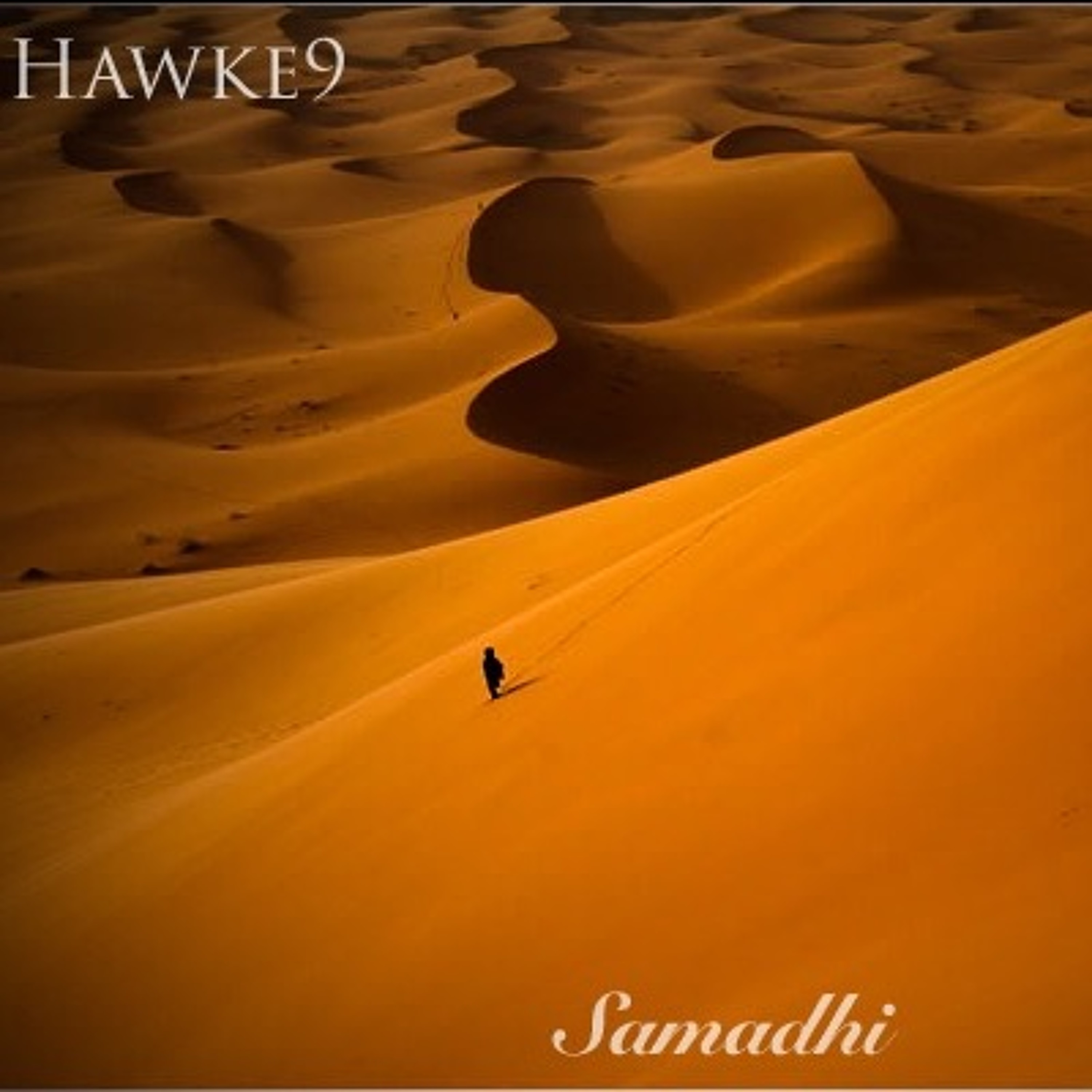 Samadhi episode artwork