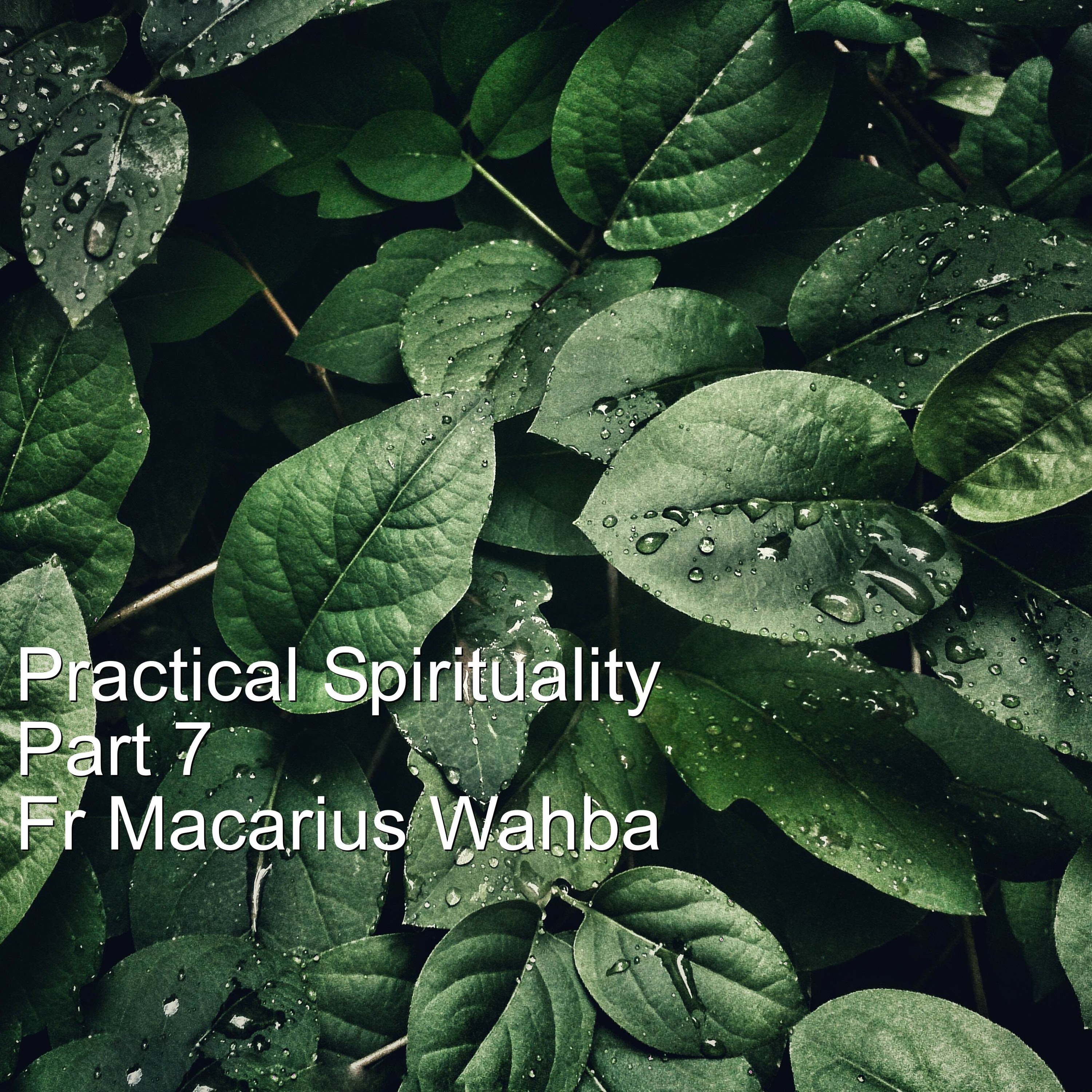 Practical Spirituality Part 7 - Fr Macarius Wahba