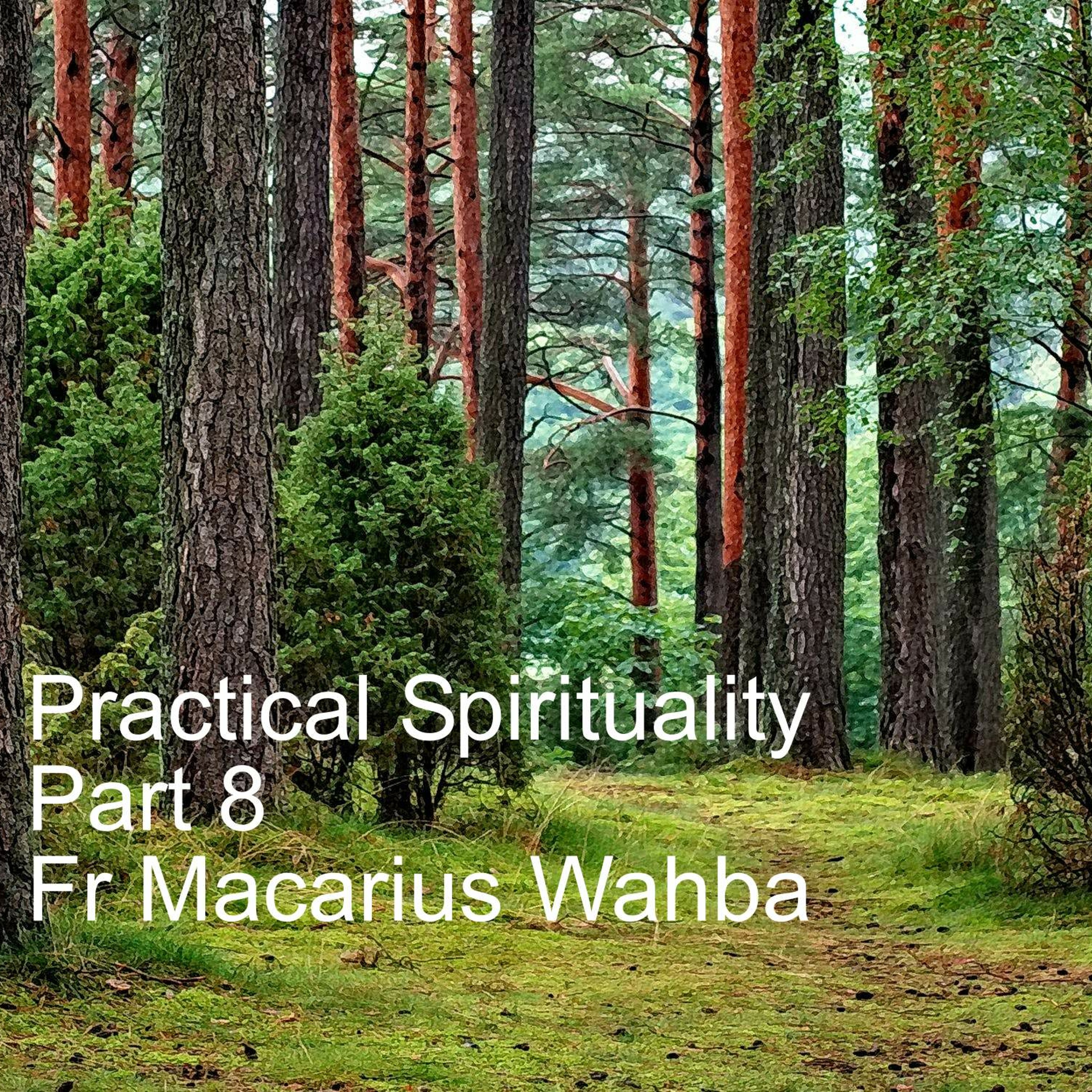 Practical Spirituality - Part 8 - Fr Macarius Wahba
