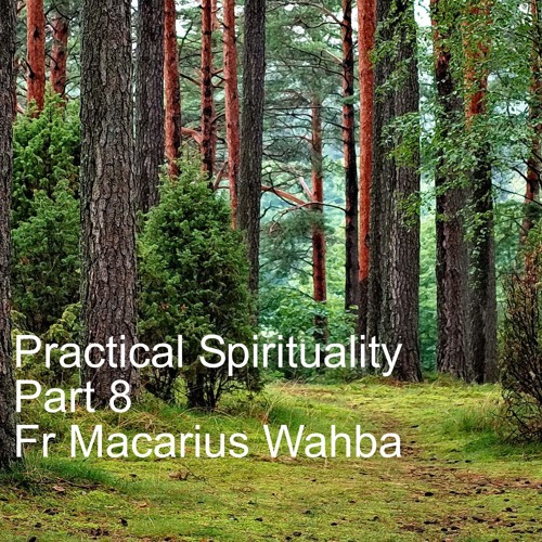 Practical Spirituality - Part 8 - Fr Macarius Wahba
