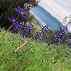 BANDS UP (Prod. JAAMCO)