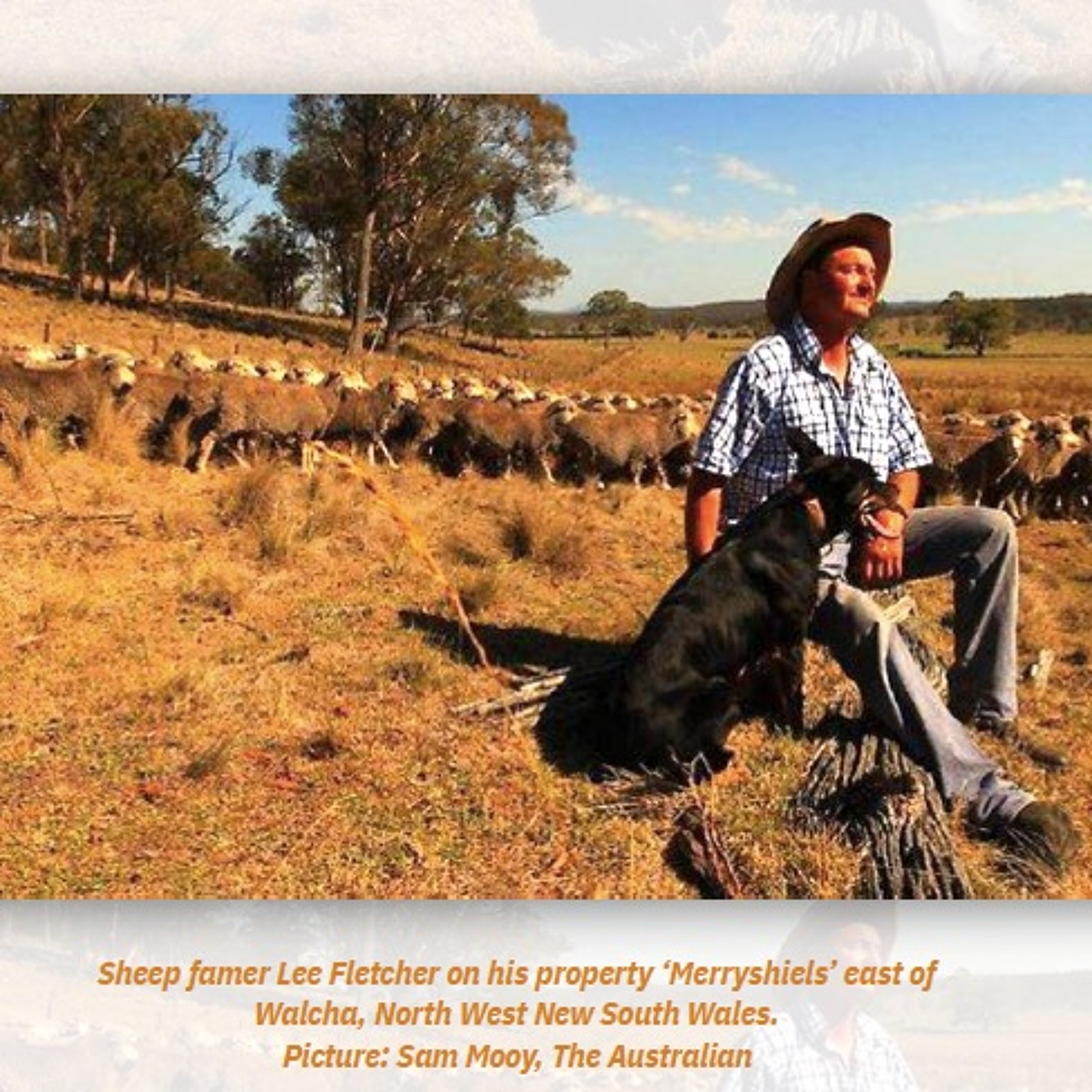 [Peter Carolane] Imitating the Good Shepherd (1 Peter 5:1-11) 14.04.19 episode artwork