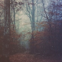 Abigail [ Selah - Interlude ] - THE PROJECT