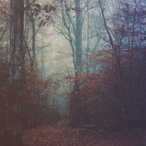 Abigail [ Selah - Interlude ] - THE PROJECT