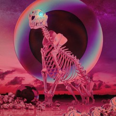 Crankdat - Welcome To the Jungle Feat.Sara Skinner (D3TRI$ & P3NO & Lunar Remix)+Edit