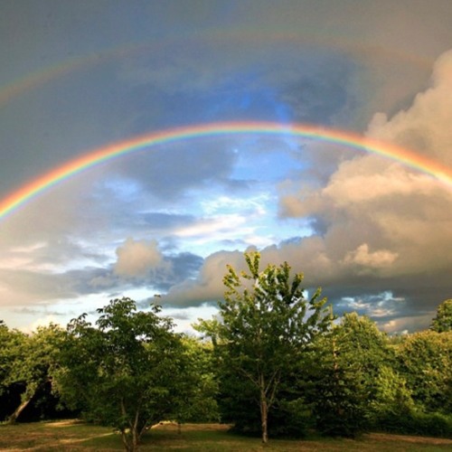 Impromptu N° 12 « A New World »