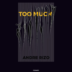 Andre RIzo - Too Much (Original Mix)