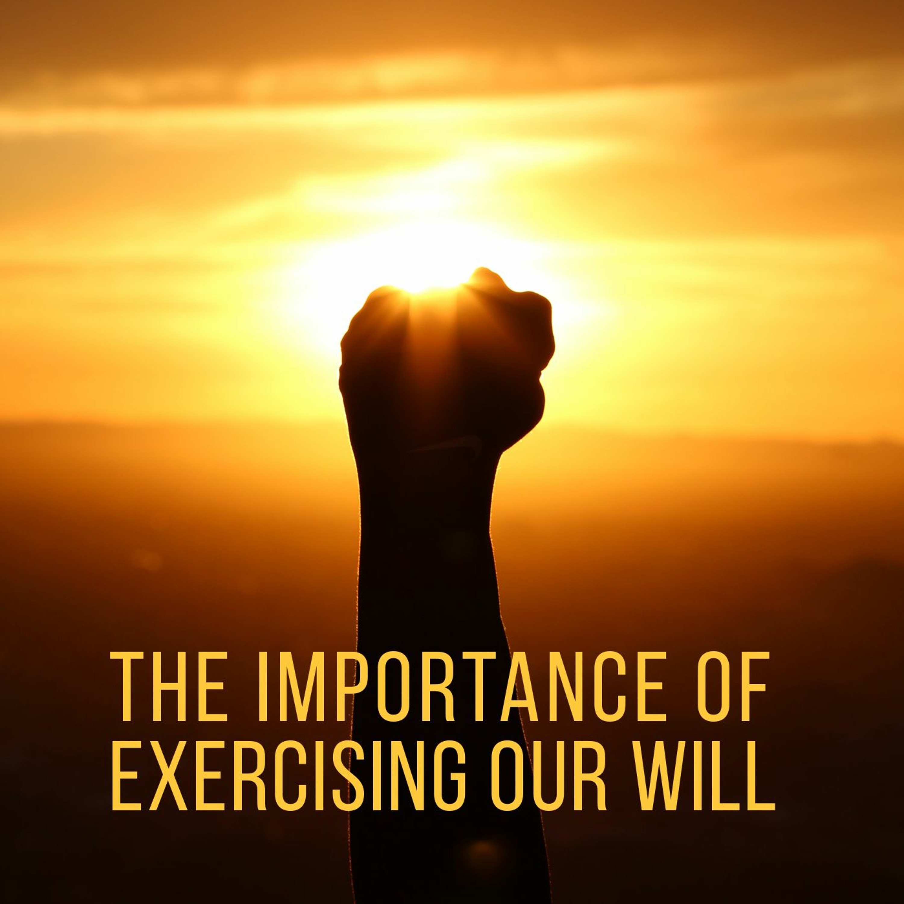 The Importance of Exercising Our Will episode artwork