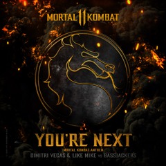Dimitri Vegas & Like Mike vs. Bassjackers - You're Next