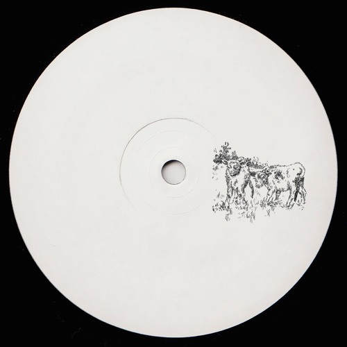 FORMALLY UNKNOWN – FIELDS [PRIVATEPERSONS012]