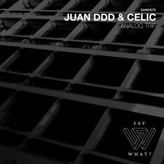 PREMIERE: Juan Ddd, Celic - Analog Trip - Say What? Recordings