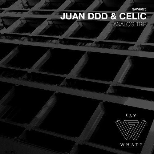 PREMIERE: Juan Ddd, Celic - Analog Trip - Say What? Recordings