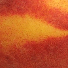 dear diary 017: plastic