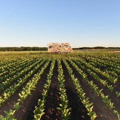 88 Röster om hem / Saadia Hussain & Helena Persson