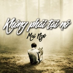Không Phải Tại Nó - Mai Ngô