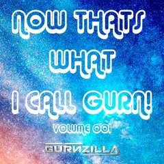 NOW THATS WHAT I CALL GURN VOLUME 001