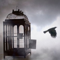 I Am Caged
