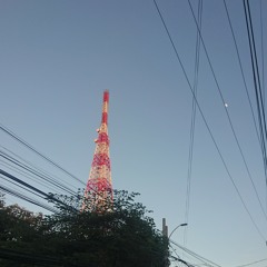 A Cover of Lookalike by Conan Gray !