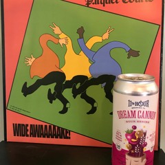 WIde Awake!!! (Parquet Courts) PODCAST