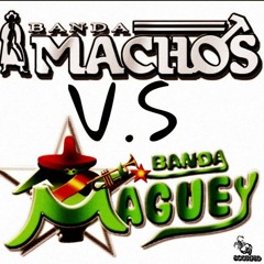 BANDA MACHOS VS MAGUEY MIX MARVILL MUSIC