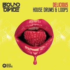 Delicious House Drums & Loops by Bound to Divide