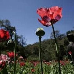 cant wait to see your face