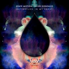 PREMIERE: Space Motion & Javier Gonzalez - Butterflies In My Chest (SIS Remix) [Sudam Recordings]