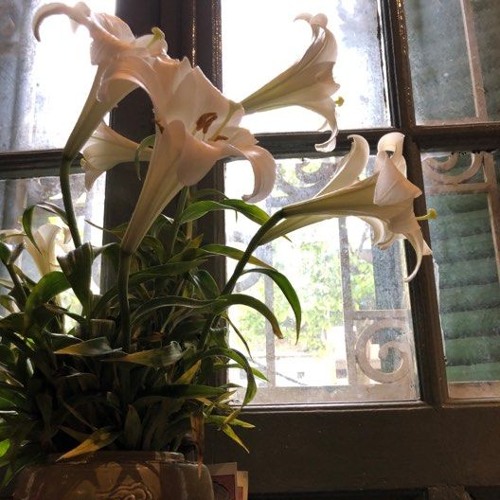 Mo cua Ta (đưa em vào trong cơn mơ)