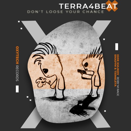 Terra4Beat - Don't Loose Your Chance (Original Mix)