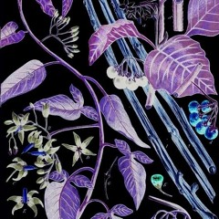 MDK & KIZMET - Glashaus prod. Lakewood Studios