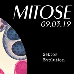 Kiano Lento @ Mitose - Sektor Evolution 9/3/19