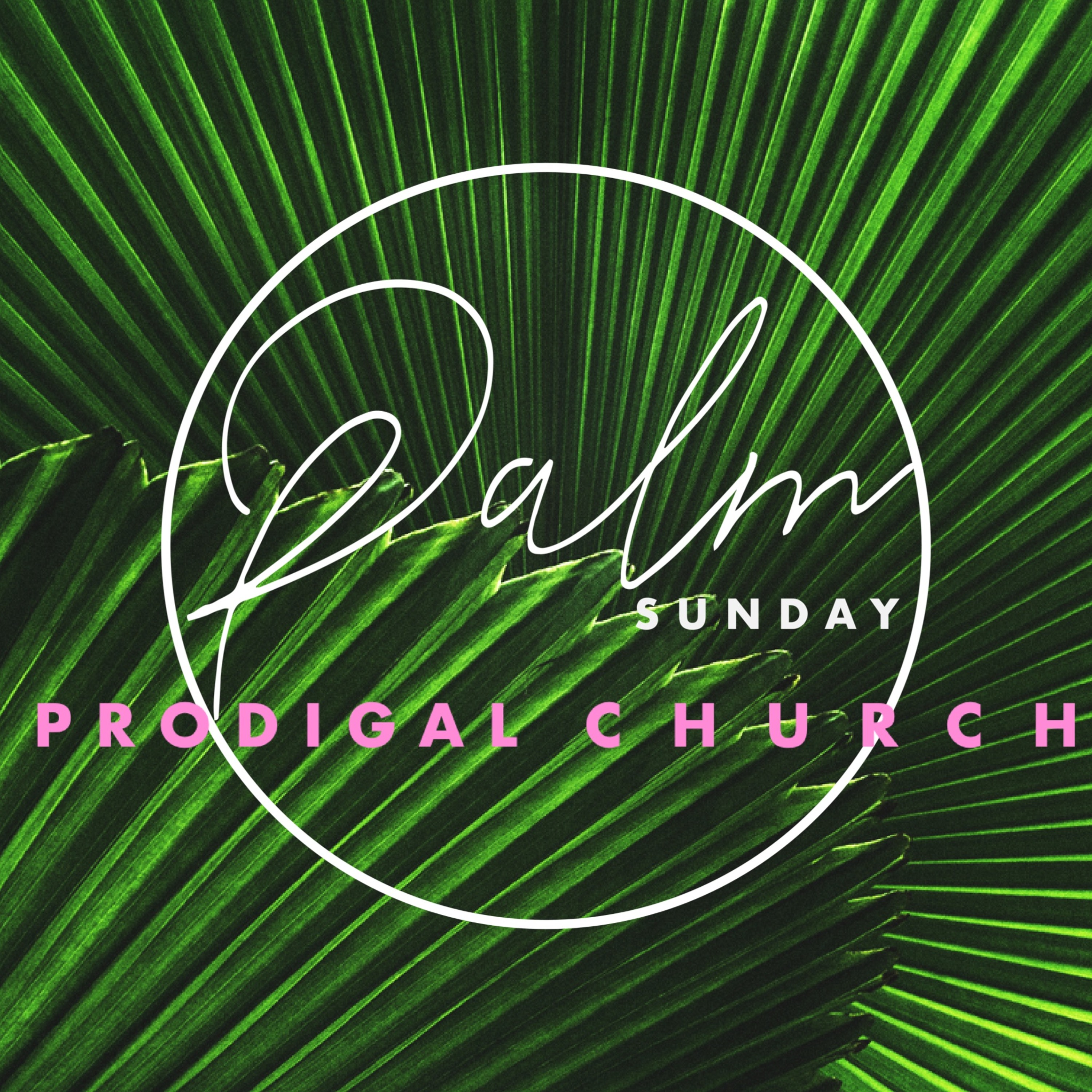 Palm Sunday at Prodigal Church episode artwork