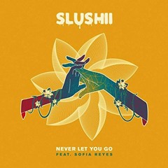 Slushii - Never Let You Go (Dyrek Remix)