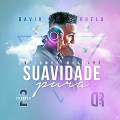 Suavidade Pura Chapter 2 - Mixed By David Ruela (2019)