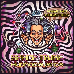 Hypnocoustics & Space Tribe - Psycho Logistics (OUT NOW ON SACRED TECHNOLOGY)