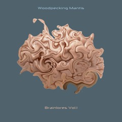 CC008 - Brainlores Vol.1 - 03 - Iz U Stop Making That Big Face
