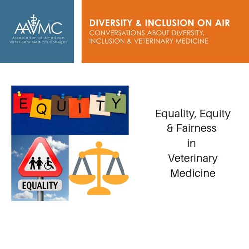 Stream episode 51: Equality, Equity, & Fairness by DiversityMatters at  AAVMC podcast | Listen online for free on SoundCloud