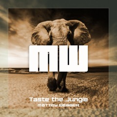 Taste The Jungle ( Original mix )