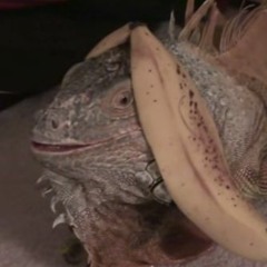 Washcloth / Alarm Clock - prod. KIN