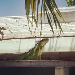 Know Ya Wrong -Prod. The Alchemist( DJW x BMW remix)