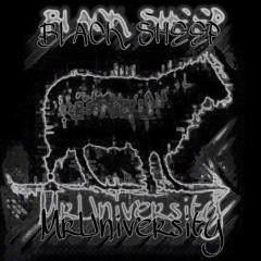 Mr. University - Black Sheep
