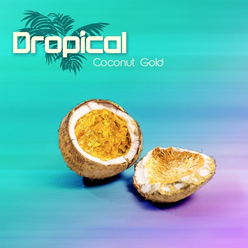 Dropical ~ Coconut Gold Mix Vol.1