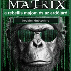 electrocat-Toma-!rodalmi DubTechno-Matrix, a rebellis majom és az erdőjáró