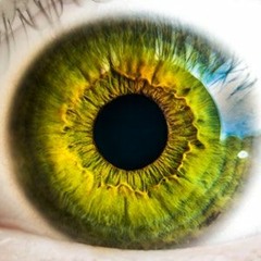 Vision