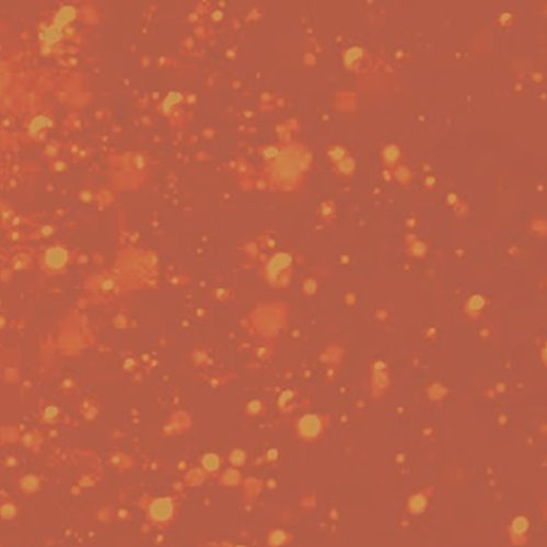 stream song (twitch.tv/summetmusic)