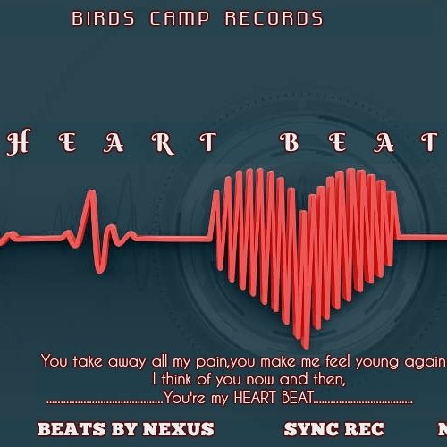 Stream HEARTBEAT mp3 by Bird Joe | Listen online for free on SoundCloud