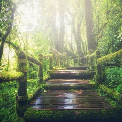 Tull Woods