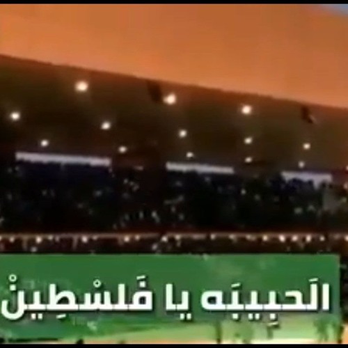 رجاوي فلسطيني